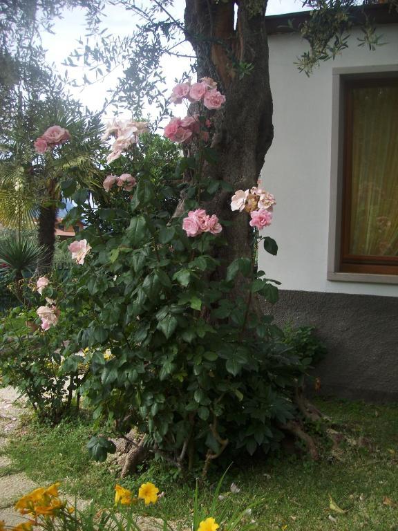 Garni Casa Rabagno Hotel Malcesine Exterior photo